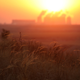 Illustration for article titled New Report Lays Out a Plan to Suck Carbon Out of the Skyem/em